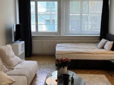 Appartement 1.5 pièces situé aux Eaux Vives image 3