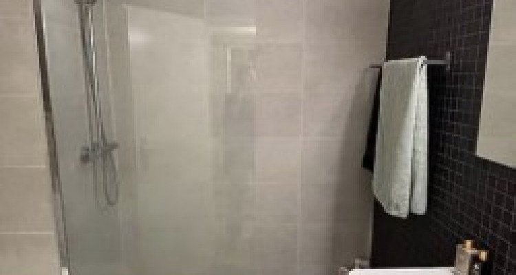 Appartement 1.5 pièces situé aux Eaux Vives image 4