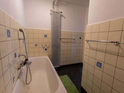 Eine Grüne Perle für Seele image 8