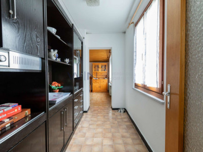 Eine Grüne Perle für Seele image 9