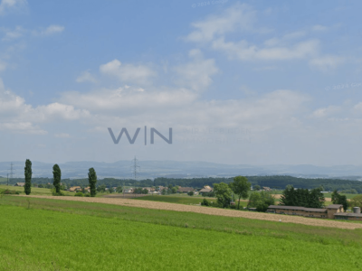 Starten auf der grünen Wiese - ohne Verpflichtungen image 1