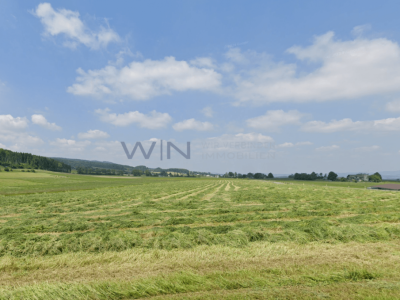 Starten auf der grünen Wiese - ohne Verpflichtungen image 2
