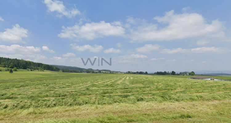 Starten auf der grünen Wiese - ohne Verpflichtungen image 2