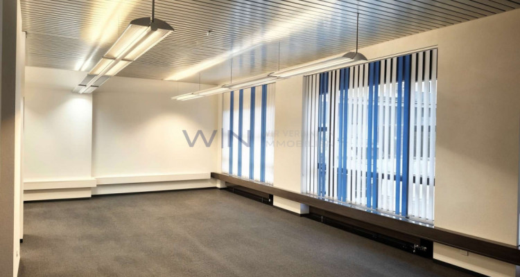 Exklusives Büro im Erdgeschoss -  ruhige Vorzugslage image 3