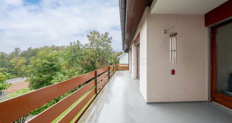 Wo Horizonte zur Leinwand Ihrer Träume werden image 1