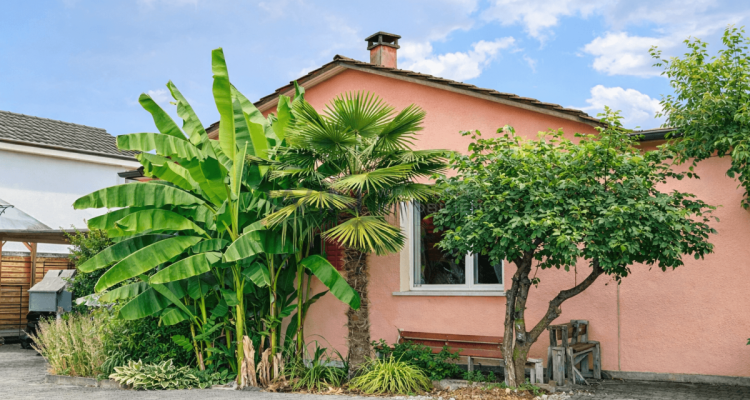 Ruhe. Privatsphäre. Solide Wohnqualität. image 1