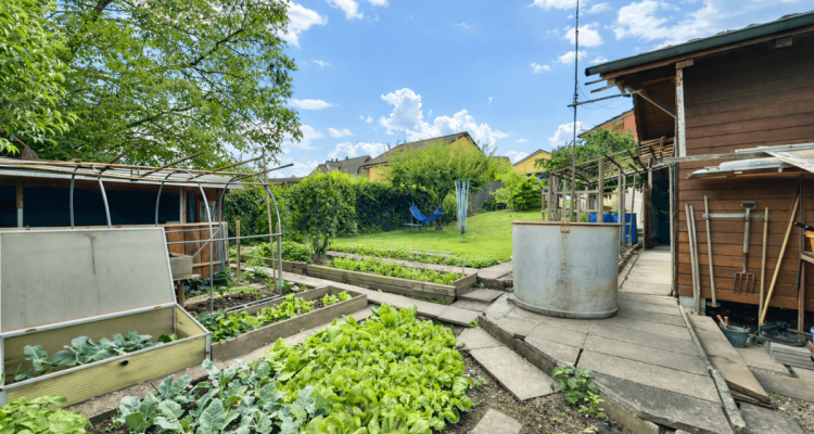 Ruhe. Privatsphäre. Solide Wohnqualität. image 12