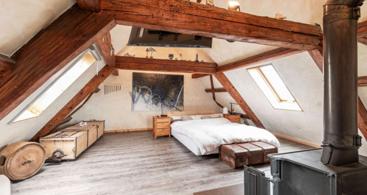 Mehr Charakter als ein Oscar-prämierter Film image 12