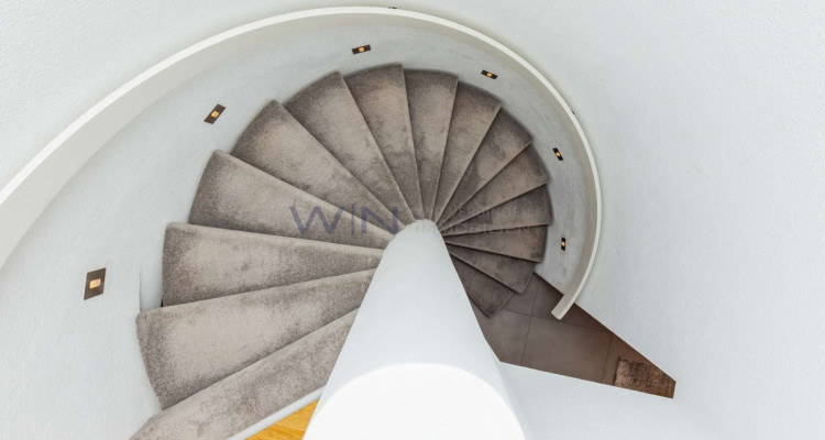 Eine Oase des Moments, für immer eingefangen image 10