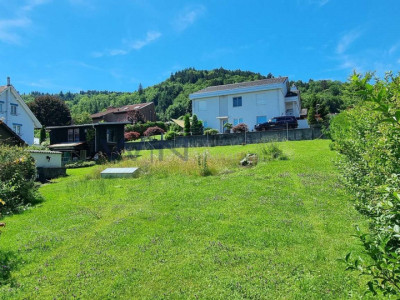 Bauplaner aufgepasst - Traumgrundstück an leichter Hanglage image 8