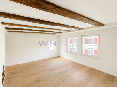 Neubaujuwel mit Zusatzwohnungen image 5