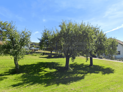 Exklusiver Neubau - Stil, Komfort und Ihr Zuhause image 1