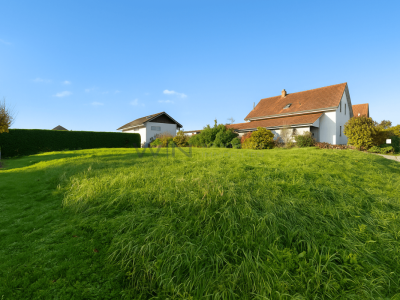 Ihr Traum vom Eigenheim beginnt hier image 3