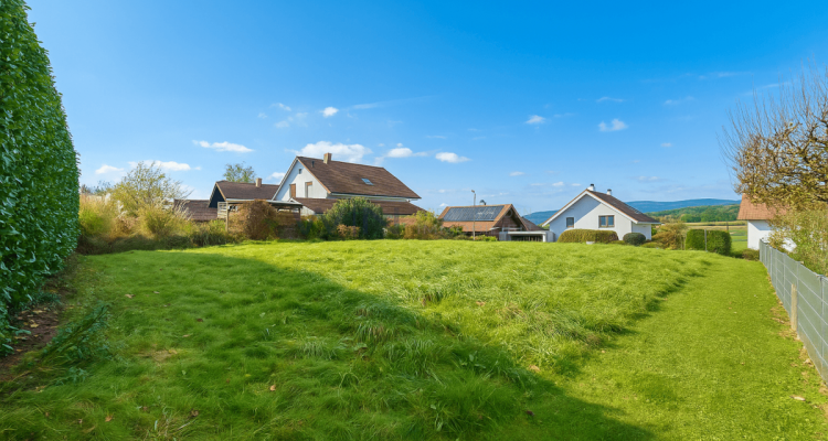 Ihr Traum vom Eigenheim beginnt hier image 1