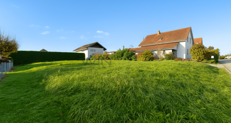 Ihr Traum vom Eigenheim beginnt hier image 3