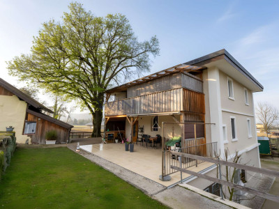 Greenfield 4 Mensch und Tier image 3