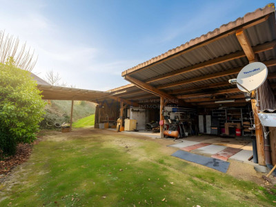 Greenfield 4 Mensch und Tier image 6