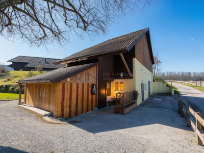 Greenfield 4 Mensch und Tier image 13