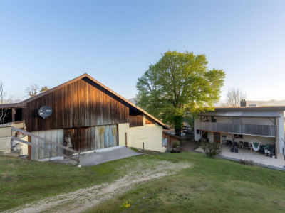 Greenfield 4 Mensch und Tier image 6