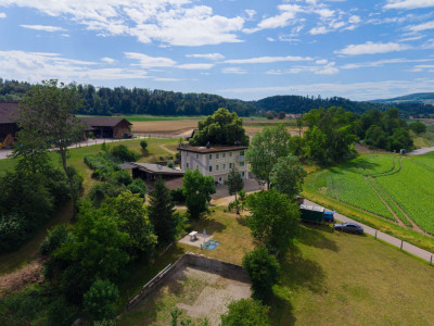 Greenfield 4 Mensch und Tier image 1