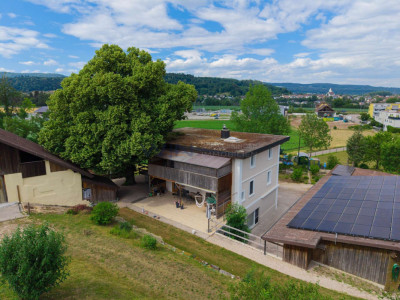 Greenfield 4 Mensch und Tier image 9