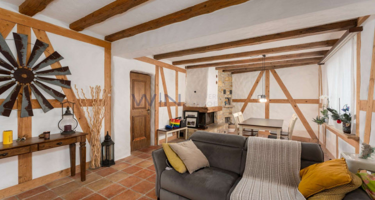 Greenfield 4 Mensch und Tier image 2