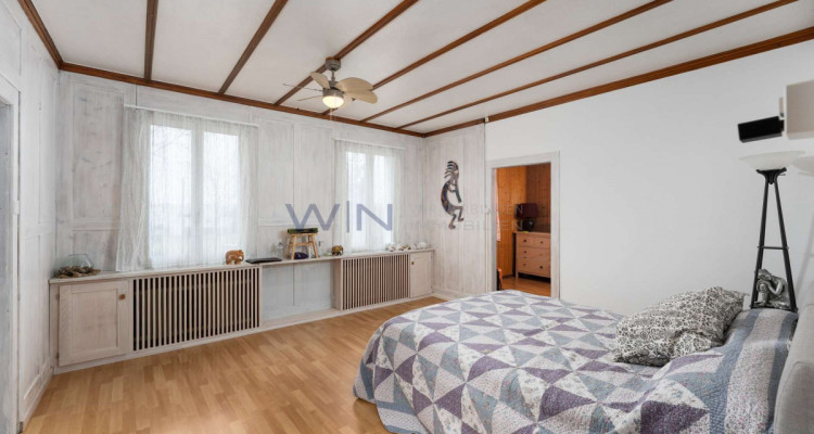 Greenfield 4 Mensch und Tier image 5