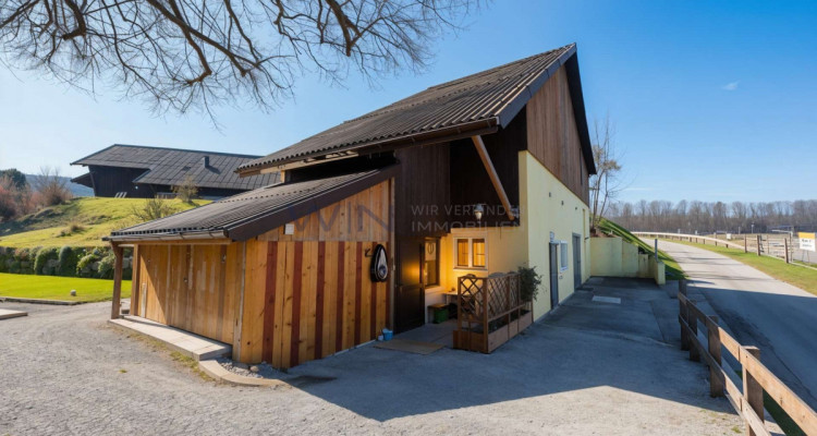 Greenfield 4 Mensch und Tier image 13