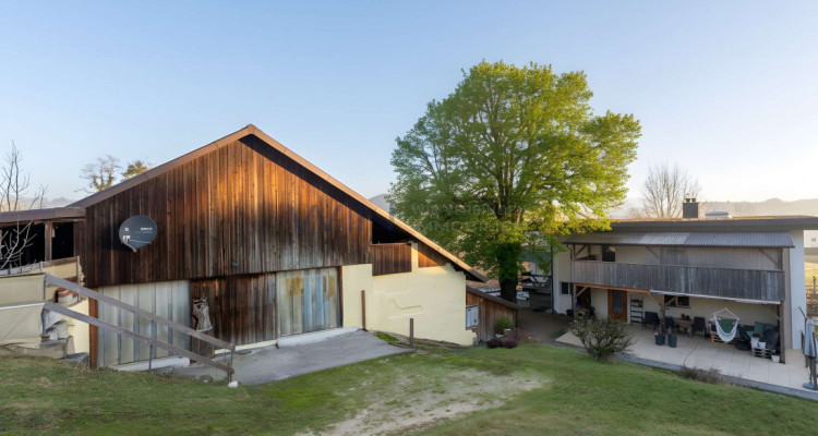 Greenfield 4 Mensch und Tier image 6