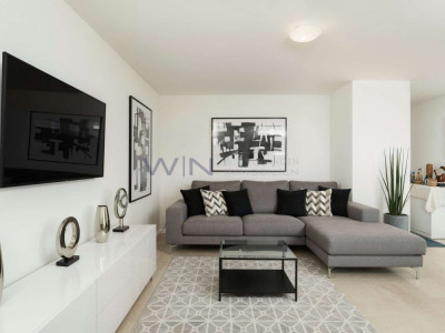 Sonnengruss auf Höchstniveau mit Qualität image 4