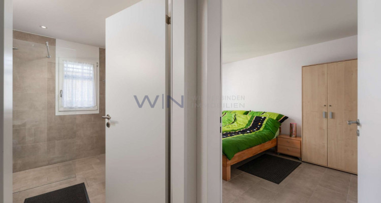 Sonnengruss auf Höchstniveau mit Qualität image 7