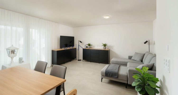 Sonnengruss auf Höchstniveau mit Qualität image 2