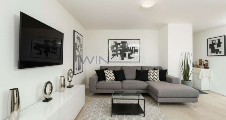 Sonnengruss auf Höchstniveau mit Qualität image 4