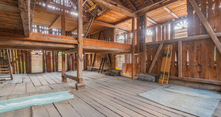 Heimat in der Bündner Bergwelt image 1