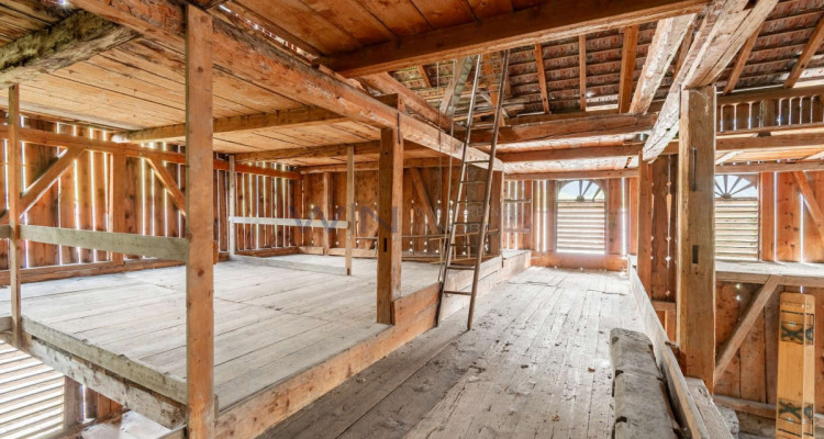 Heimat in der Bündner Bergwelt image 5