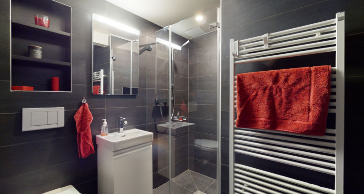 Leysin - Chalet de haut-standing avec deux appartements image 9