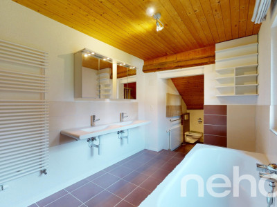 Maison familiale de charme avec grand jardin dans un cadre paisible ! image 7