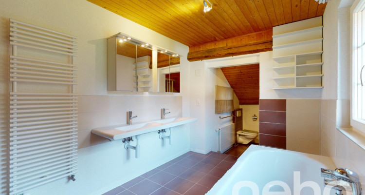 Maison familiale de charme avec grand jardin dans un cadre paisible ! image 7