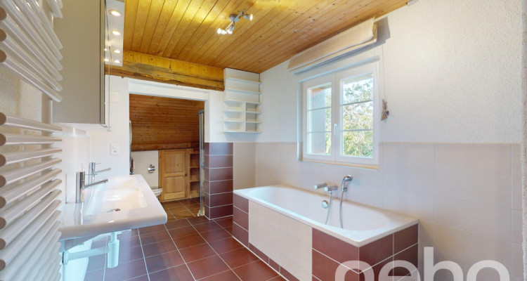 Maison familiale de charme avec grand jardin dans un cadre paisible ! image 8