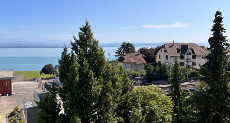 Le lac et les Alpes à porte du regard image 1