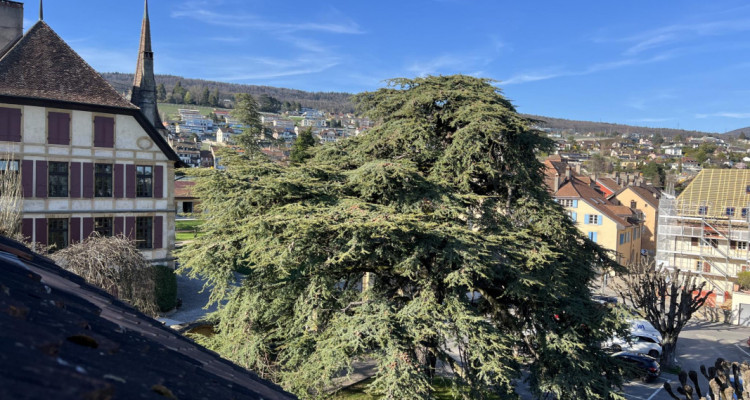 Une opportunité unique image 2