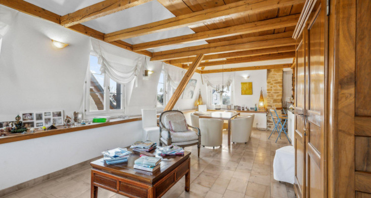 Une opportunité unique image 4