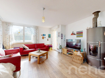 Modernes Einfamilienhaus mit Garten und viel Platz image 7