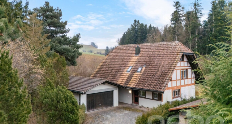 Charmantes Landhaus mit grossem Grundstück und Naturanschluss image 12