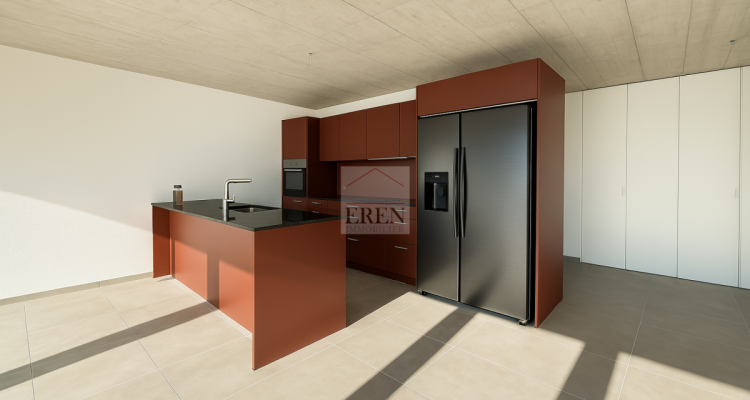 Magnifique Attique 4,5 neuf avec vue panoramique et terrasse de 55 m2 sud-est image 3