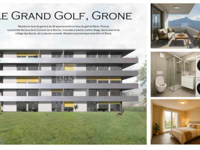 Spacieux attique 2,5 pièces de 68,5 m2 avec grande terrasse ouest de 42,50 m2 image 3