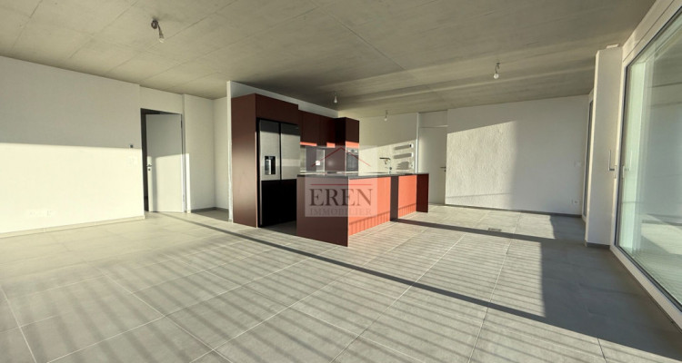 Superbe attique 4 pièces avec façades vitrées et grand balcon-terrasse panoramique de 45 m2 image 4