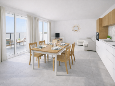 Appartement 2,5 pièces avec grande terrasse ouest de 42,50 m2 au 3ème étage image 1