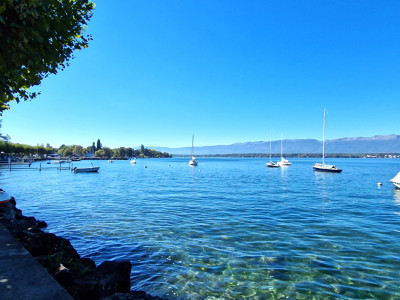 La somptueuse Villa : une élégante villa familiale / Collonge-Bellerive image 5