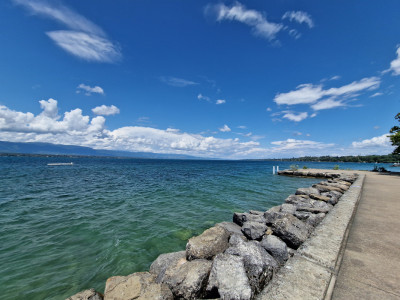 La somptueuse Villa : une élégante villa familiale / Collonge-Bellerive image 3